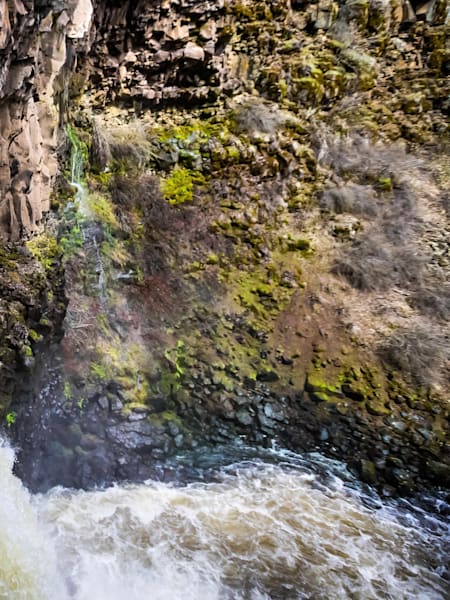 Rafa Ortiz embarks on a new type of first decent