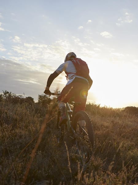 10 hidden adventures in the New Forest