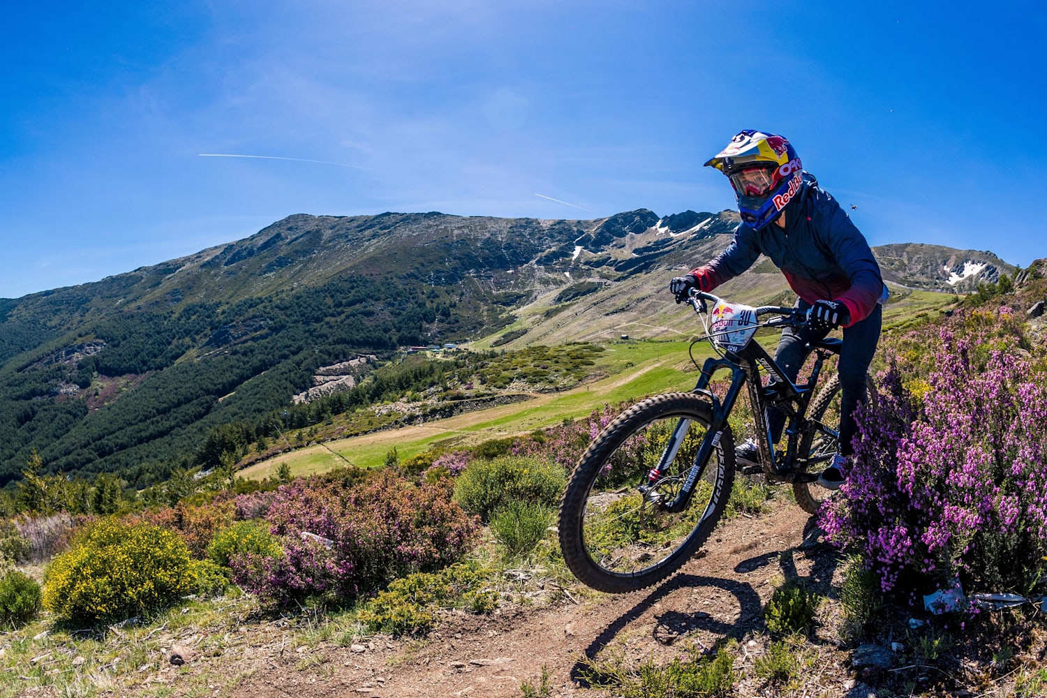 Mountain Bike Red Bull