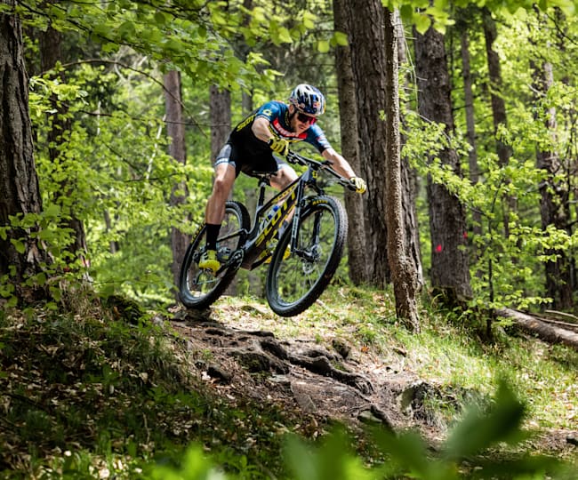 new scott bike