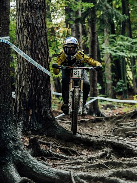 Vtt descente debutant top