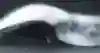 ナザレに挑むカイ・レニー