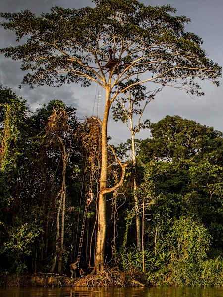 Découvrez les quelques endroits et lieux encore inexplorés sur terre comme les jungles du Panama.