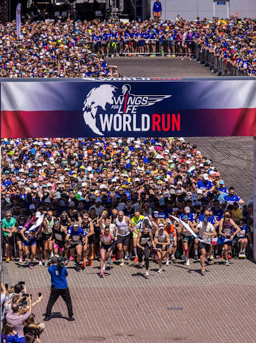 Wings for Life World Run 2026