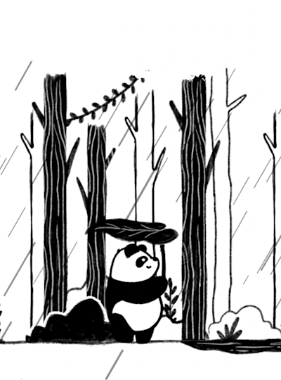 Illustration of a panda walking through a forest in the rain.