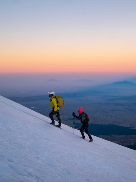 Chikorita en Tres Picos