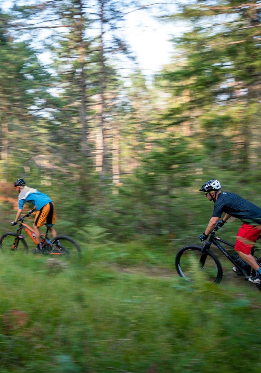 bike destination