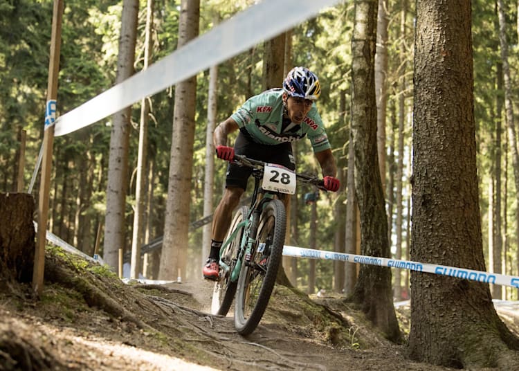 Mountainbike Sprung Bauen Tipps Der Ultimative Guide
