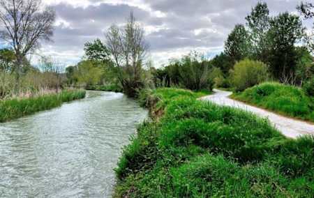 Plena naturaleza a un paso de la ciudad: Parque Fluvial del Turia