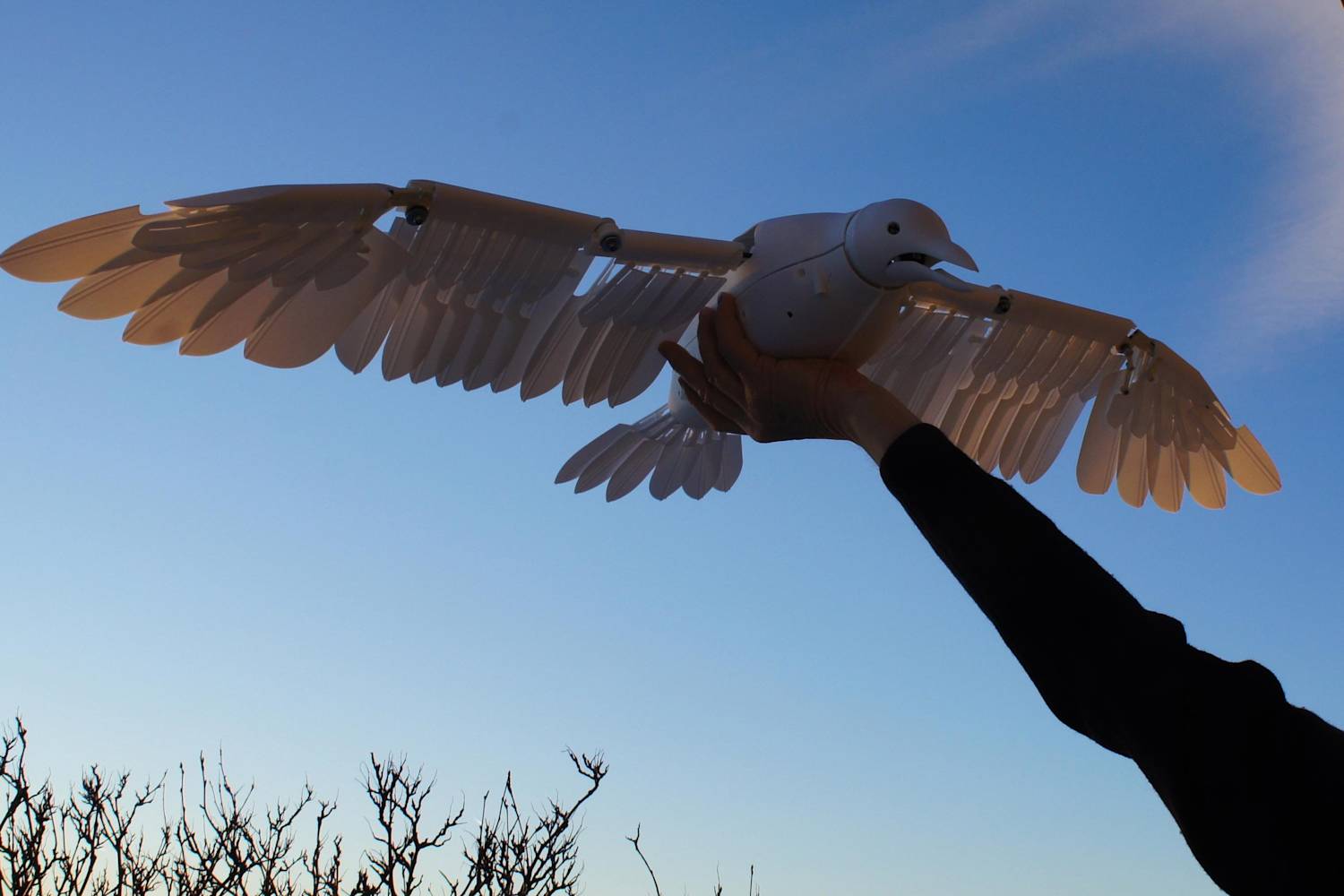 Flygildi Silent Flyer The robot bird drone ++info++