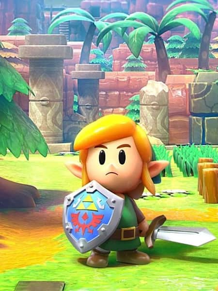 The legend of zelda awakening discount