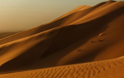 Namibia calling
