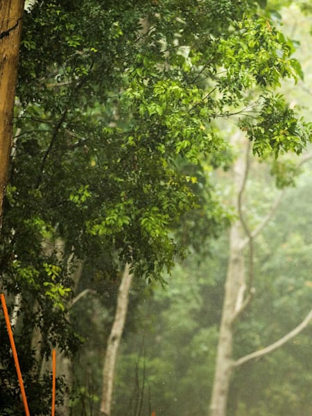 Luca Shaw: Zwei Rennen, zwei Siege?