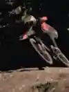 Aaron Gwin downhill mountain biking during the UCI Mounatain Bike World Cup event in Loudenvielle, France, September 2024