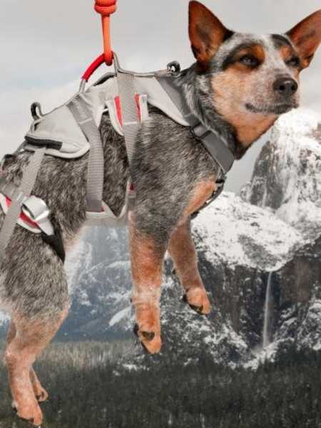 Situazioni precarie: mantenere la calma.