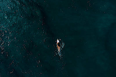 Carissa Moore paddling in the Pacific Ocean, at home in Hawaii