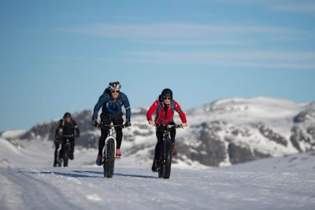 Comment reconnaître un fatbike ? Grâce à ses pneus de 4 pouces, minimum.