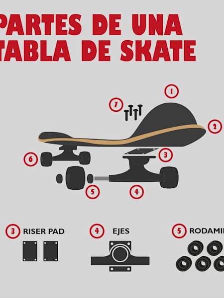 Cuáles son las partes de la tabla de skate?