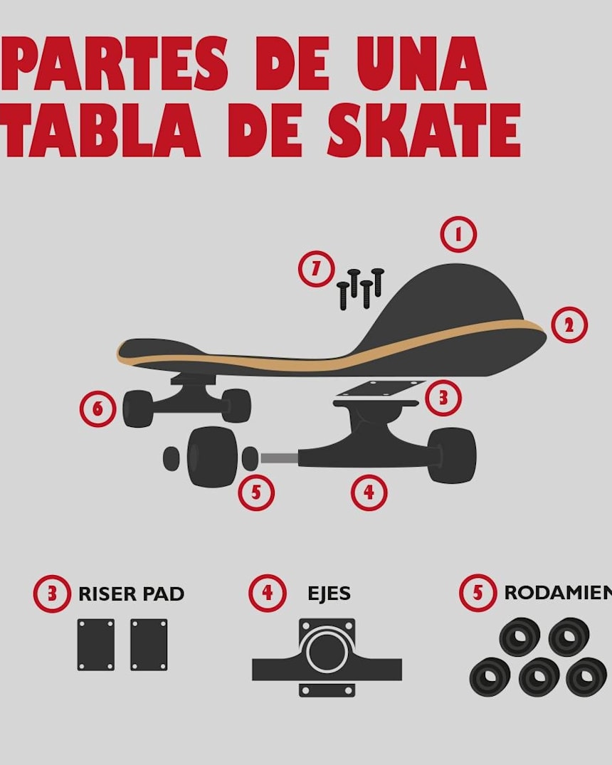 Cuales Son Las Partes De La Tabla De Skate
