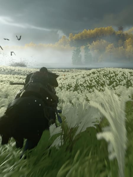 Ghost of Tsushima has a variety of tales you can complete to earn rewards.