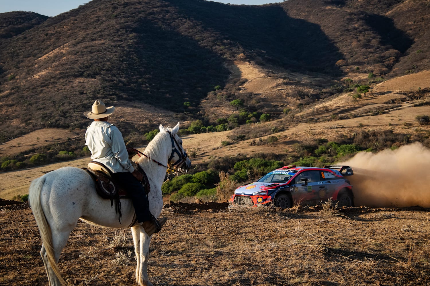 World Rally Championship 2021: All you need to know