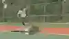 Dan Mancina ripping an improvised jump ramp