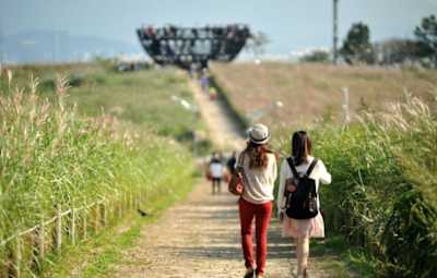 Visitantes no prado do Skypark de Seul.