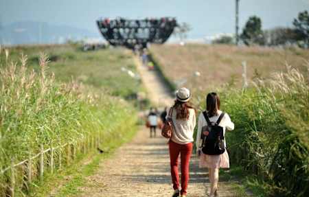 Women walk in meadow in Seoul's Skypark.