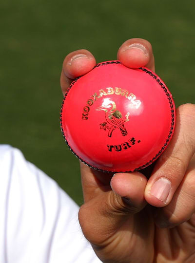 The pink Kookaburra cricket ball.