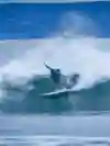 Surfer Leon Glatzer in action in Costa Rica.