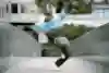 Majid stands on one leg with hands spread out.