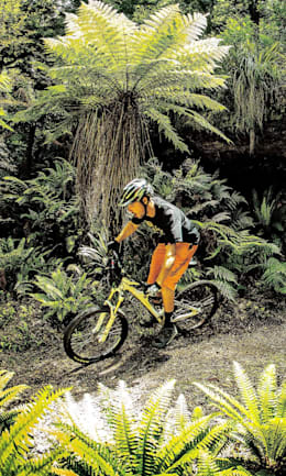 jurassic park bike helmet