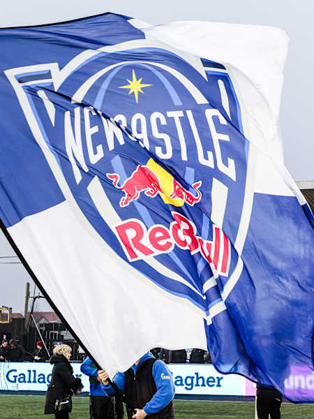 Newcastle Red Bulls flag