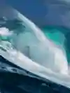 Surf Sessions S2 E07 Art