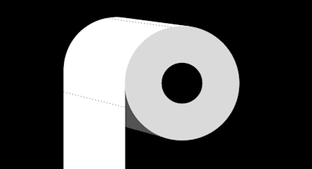 Paper Toilet
