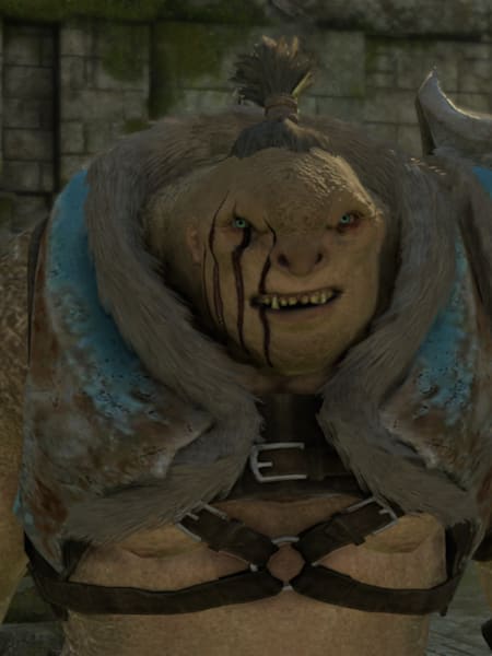 Bruz the Chopper to the rescue