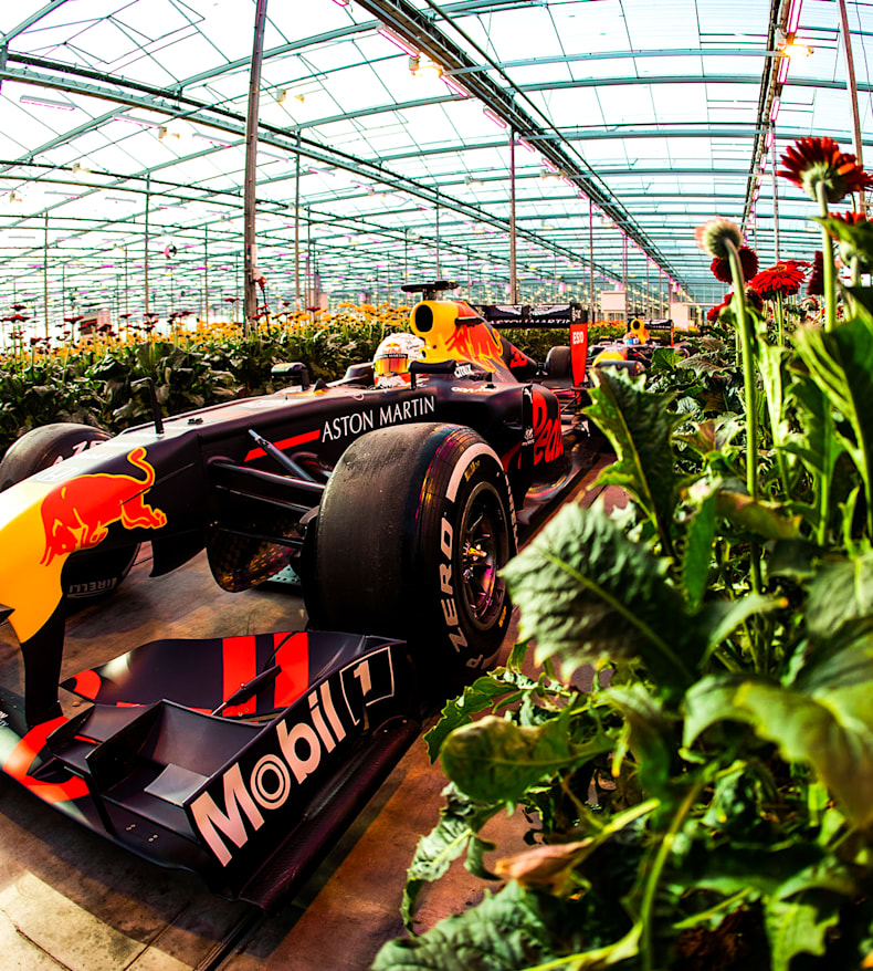 red bull racing f1 dutch road trip to zandvoort