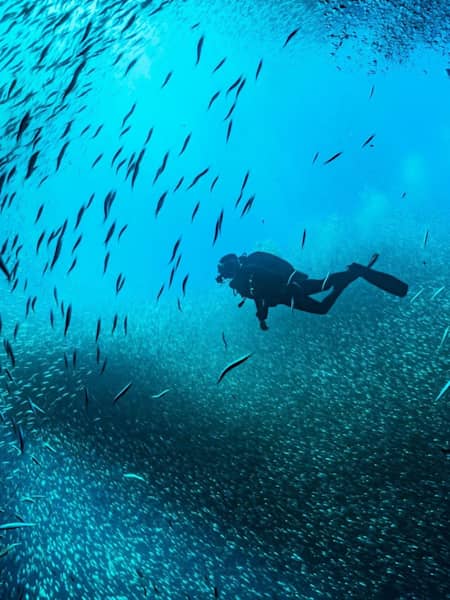 Scuba diving 11 tips that will make you a pro