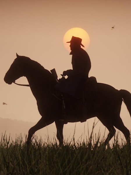 Red Dead Redemption 2