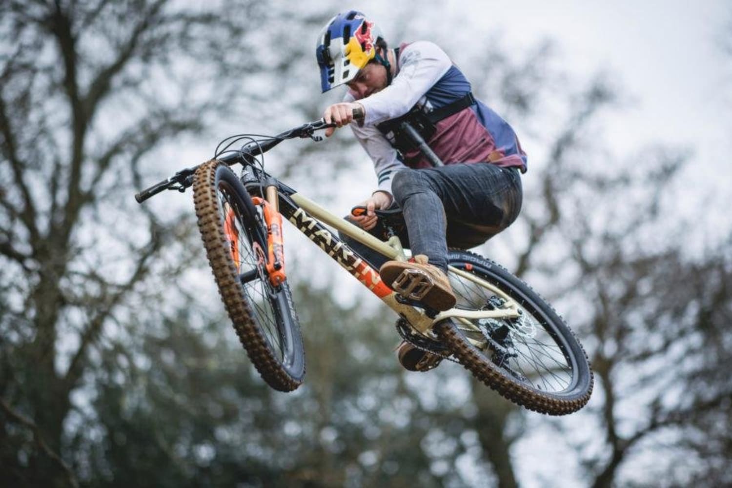 genesis tarn 20 2019