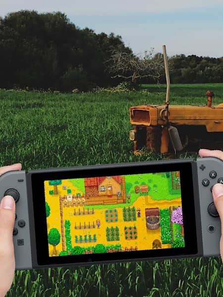 8-Bit Farm, Aplicações de download da Nintendo Switch