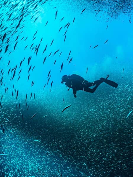 Diver pro outlet