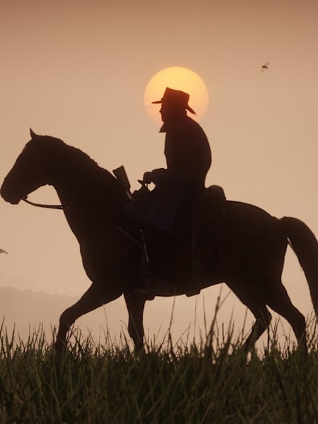 Screenshot of Red Dead Redemption 2.
