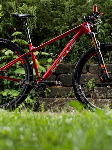 Focus raven best sale mtb