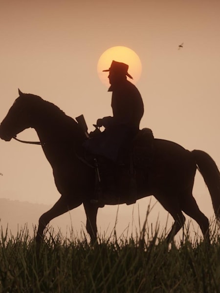 Red Dead Redemption 2 : Guide de la chasse et astuces pour chasser dans Red Dead Redemption 2.