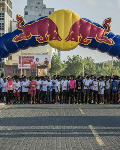 Red Bull Catch the Ferry 2015