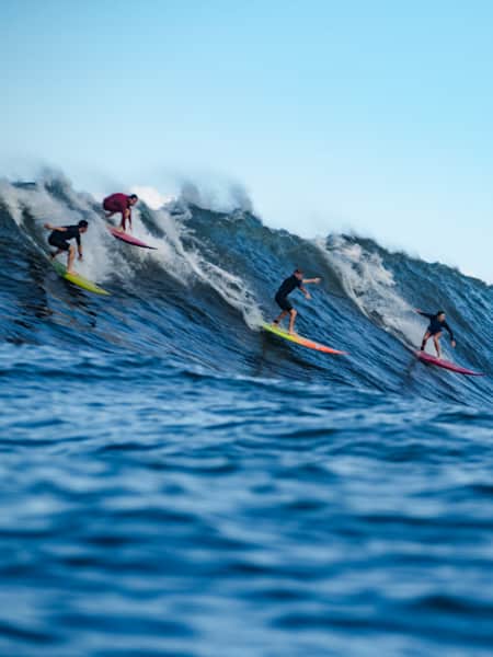 Surfing and Gaming Fans Receive Massive Boost After Exciting