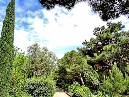 Mərdəkan dendrarisi