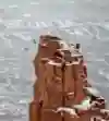 Miles Daisher and Charles Bryan jumping from tower