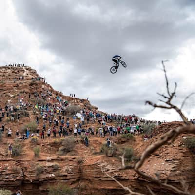 Red bull rampage 2014 sale